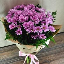Букет цветов из:  Хризантемы #REPLACE_PRED# Карамышево 